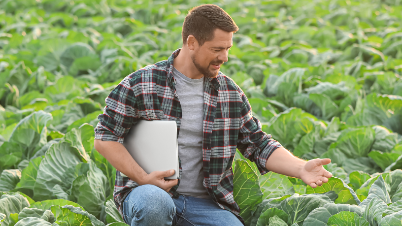 Alfredo Moreira Filho