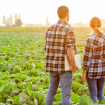 Alfredo Moreira Filho