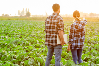 Alfredo Moreira Filho