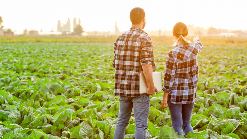 Alfredo Moreira Filho